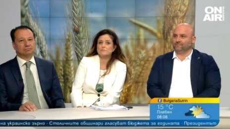 За и против украинското зърно: Очакваме 2 млн. тона слънчоглед