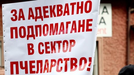 Пчелари на протест в София с искане държавата да подпомага сектора