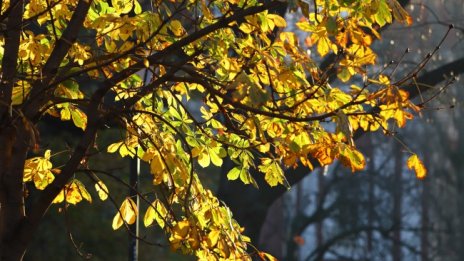 Слънчево, топло и тихо ще е утре, с температури до 29°