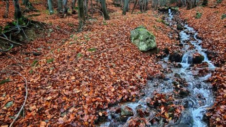 Времето днес: Слънчево на Запад, дъжд край морето и сняг по планините 