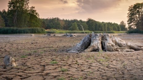 Недостиг на вода, изчезващи видове... Човечеството е опасно близо до ръба