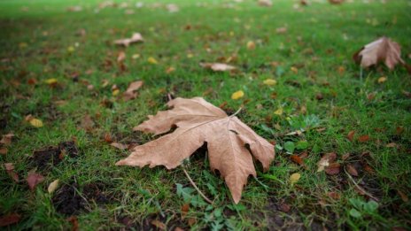 Топло ще е и утре, температурите ще са 22° - 27°