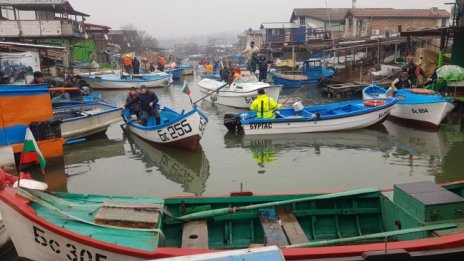 Заради по-високата температура рибата в Черно море става по-дребна 