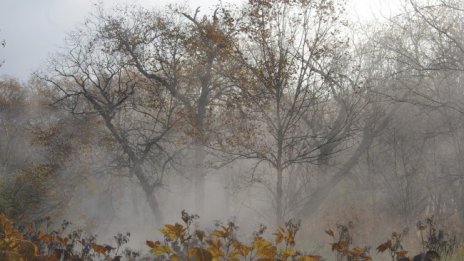 Времето остава топло до 10 ноември, след това – застудяване  