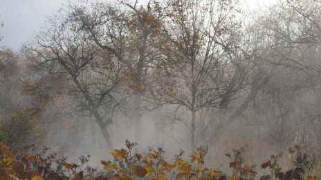 Силен вятър и в неделя, градусите ще се понижат