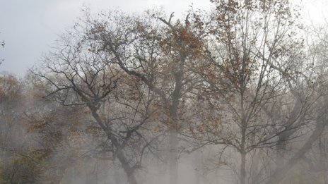 Облачността намалява в понеделник, градусите до 16°