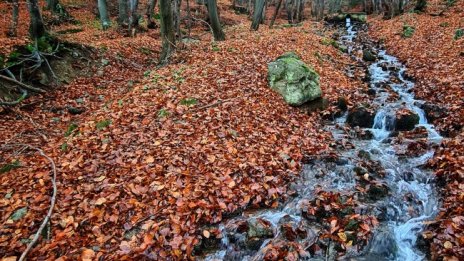 Времето утре: Дъжд и температури до 16 градуса