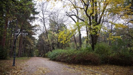 Облачно, в Северозападна България ще завали дъжд