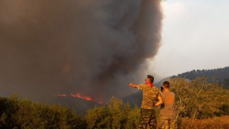 Земя, колкото Корсика, е изпепелена от пожари в Европа през 2022 г.