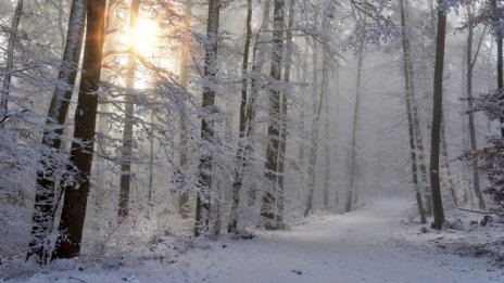 Облачно и с превалявания от дъжд и сняг във вторник 