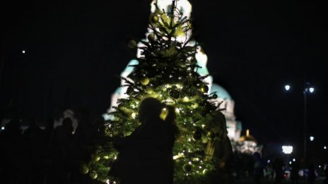 В София е празнично, запалиха елхата за Коледа 