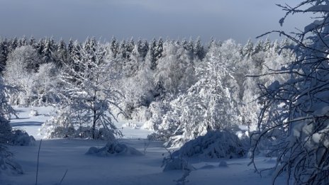 Времето днес: Затопля се още, градусите до 13