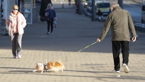 Слънчево време в последния ден на 2023 г.