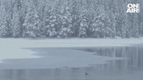 България: Открий и сподели - Гмуркане в лед