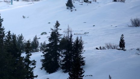 Стотици коли в снежен капан в Дания и Швеция