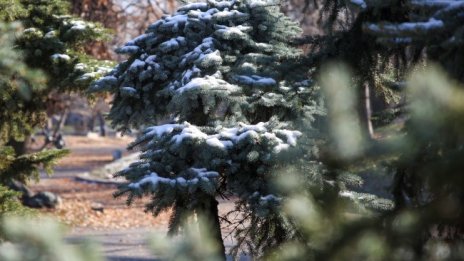 Сняг в цяла България във вторник, температурите утре ще са под 0°