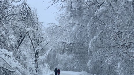 Намаляването на снежната покривка застрашава достъпа до питейна вода 