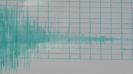 4,5 по Рихтер разлюля Албания, трусът се усети и в РСМ