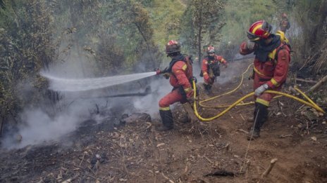 Извънредно положение в Чили заради горски пожари