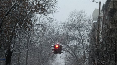 Валежи от сняг и във вторник, най-голяма снежна покривка на североизток