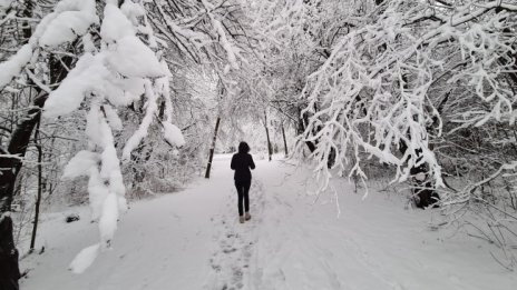 В планините е опасно, ураганен вятър и сняг