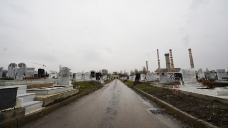 Засаждат люляци за облагородяване на Централните софийски гробища