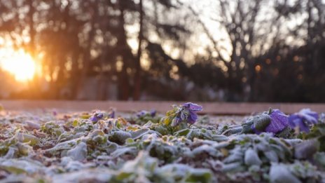 Лятно време днес, слънчево и тихо, до 28°