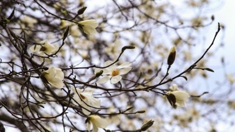 Жега до 30° днес, продължава преносът на сахарски пясък