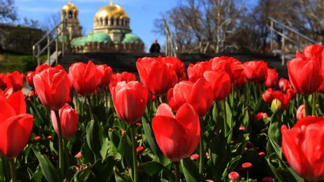 Времето днес: Слънчево и топло, на места до 29 градуса