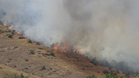 Висок риск от пожари в Гърция