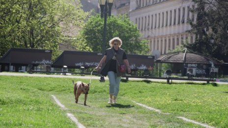 Слънчево и топло в сряда с градуси до 28°