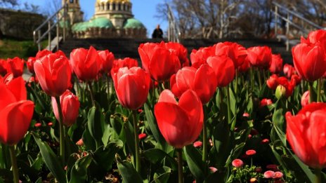 Слънчево с температури до 23 градуса ще е днес