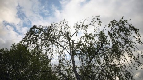 Времето утре: Облаци, дъжд, на места слънце