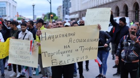 Протест пред НС: Не убивайте сектора с гъбите