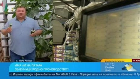 Пазарът на зеленчуци у нас - кошче за боклук на отпадъчна продукция от трети страни