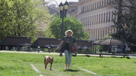 Слънчево време в понеделник с градуси до 26°