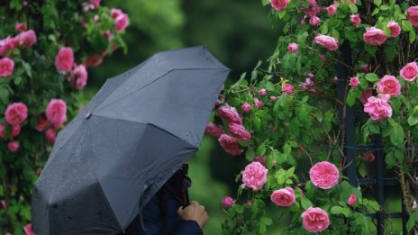 На много места утре ще вали, температури ще са между 16° и 21°