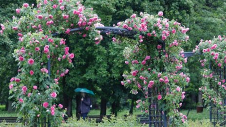 Облачно ще е днес, ще вали повече в Западна България