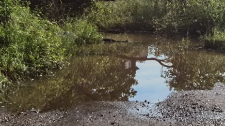 Частично бедствено положение в община Божурище