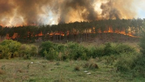 Завърши учението в Корен, горят 3000 дка край полигона