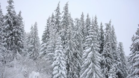 До края на годината времето ще остане слънчево 