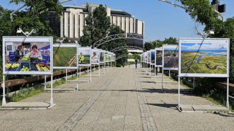 Изложба: Учените, които се борят с климатичните промени