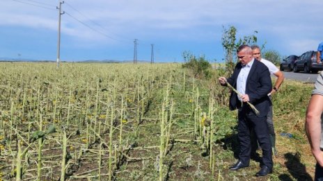 Ще правят пълен одит на агенцията за борба с градушките