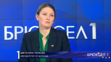 Цветелина Пенкова: Амбициозните цели за зелената сделка не са практични и работещи