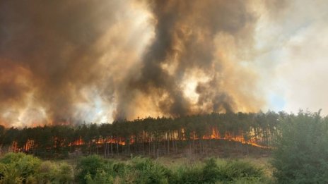 Четири гръцки селища са евакуирани заради пожари