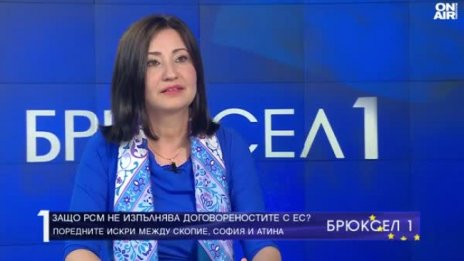 Илиана Иванова: РСМ да промени Конституцията си, за да влезе в ЕС