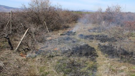 Пожар унищожи 1500 декара в землището на Свиленград