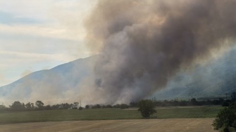 Четири големи пожара бушуват едновременно в Пловдивско