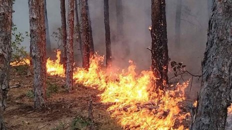 И в Свиленград обявиха частично бедствено положение