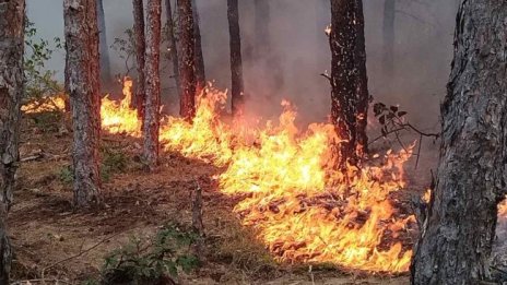 Големият пожар в Свиленградско се разраства към Турция